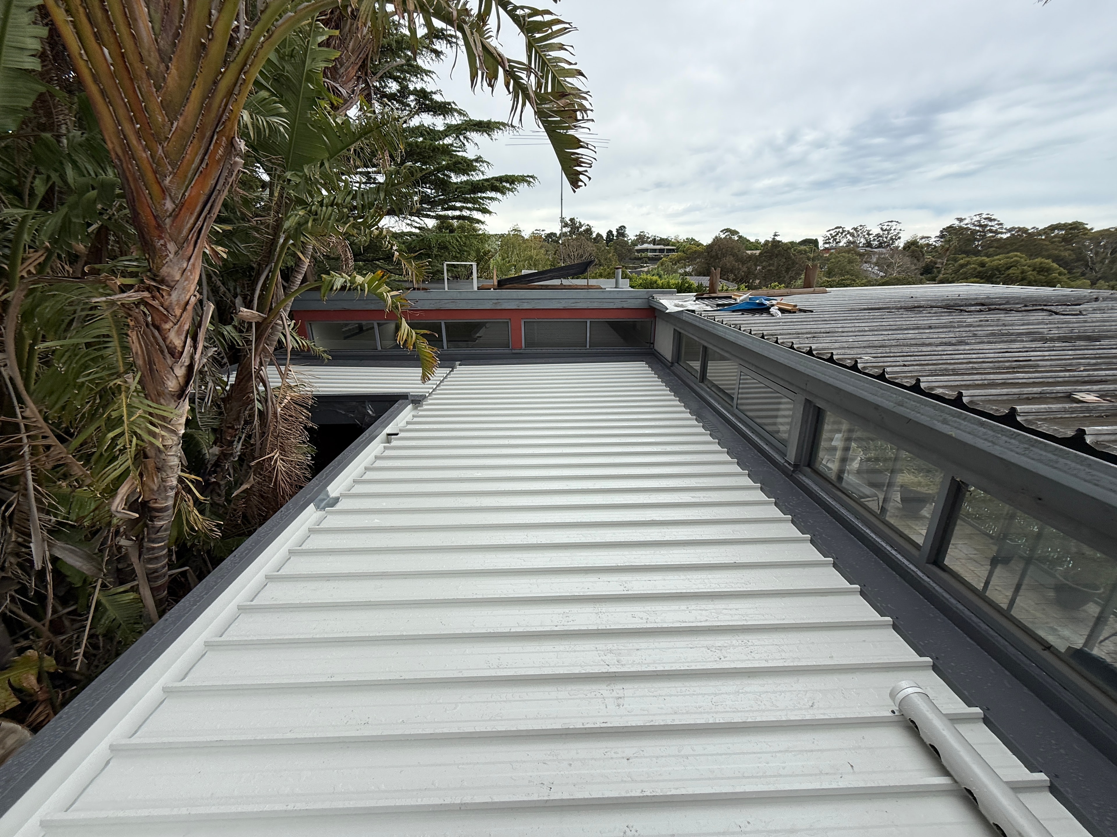 Dark metal cladding and custom planter box on new build